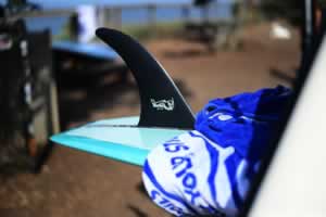 viceroy surfboard by qustom