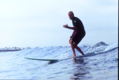 dave hops on a log